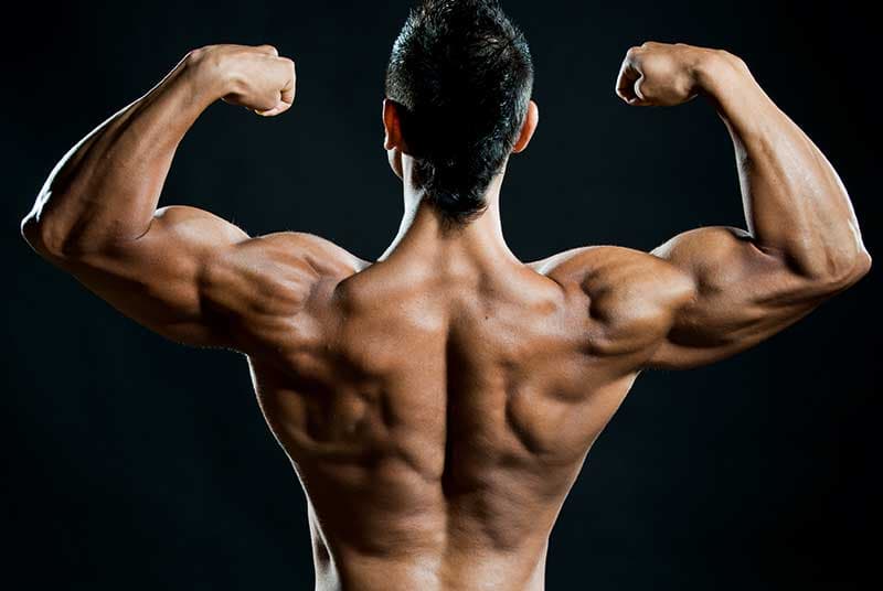 Yohimbine kaufen bei Fatburnerking – Für eine definierte Figur