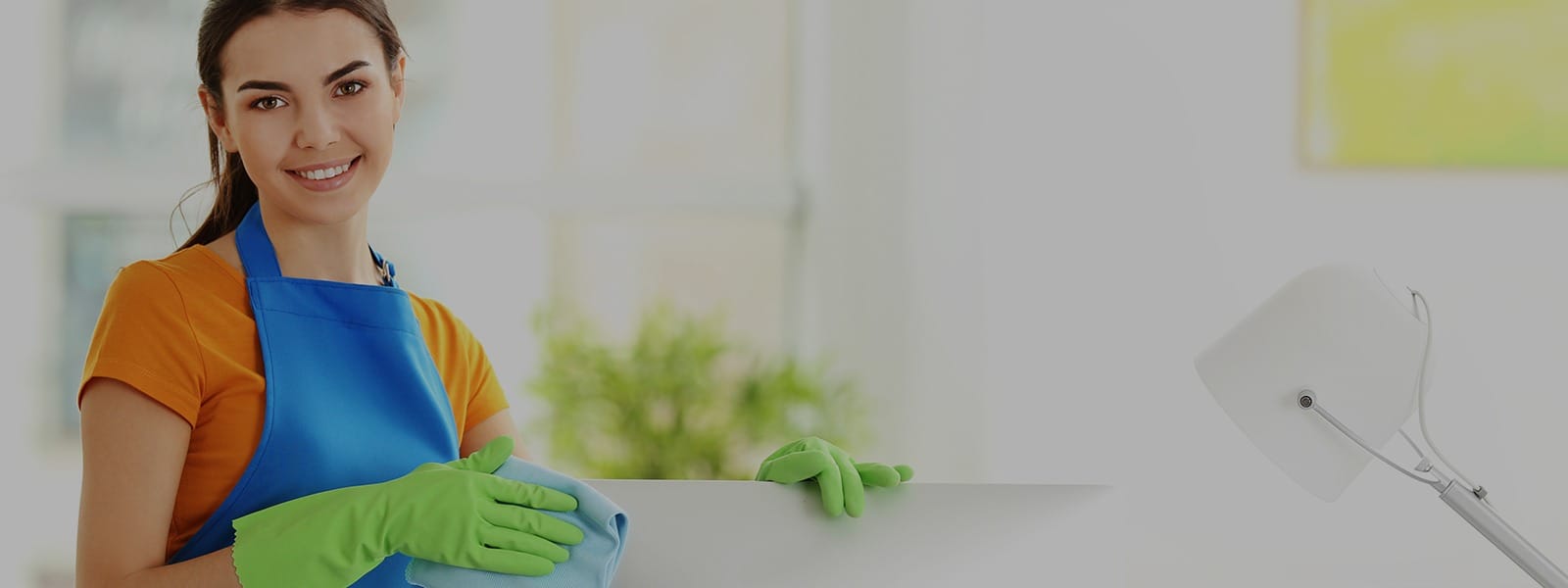 Gründlich & zuverlässig: DISE Cleaning Putzfirma in Dortmund