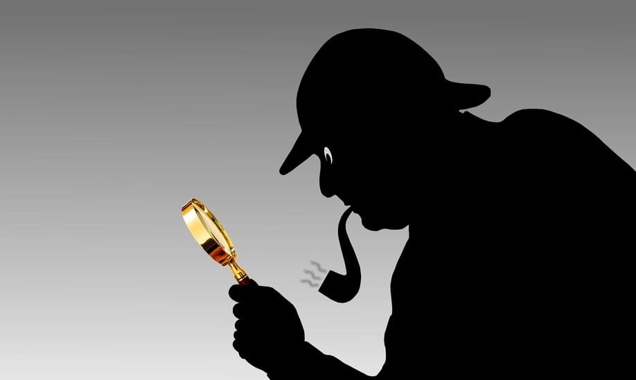 Die geheimnisvollen Fälle der Detektei Taunusstein Adlerblick