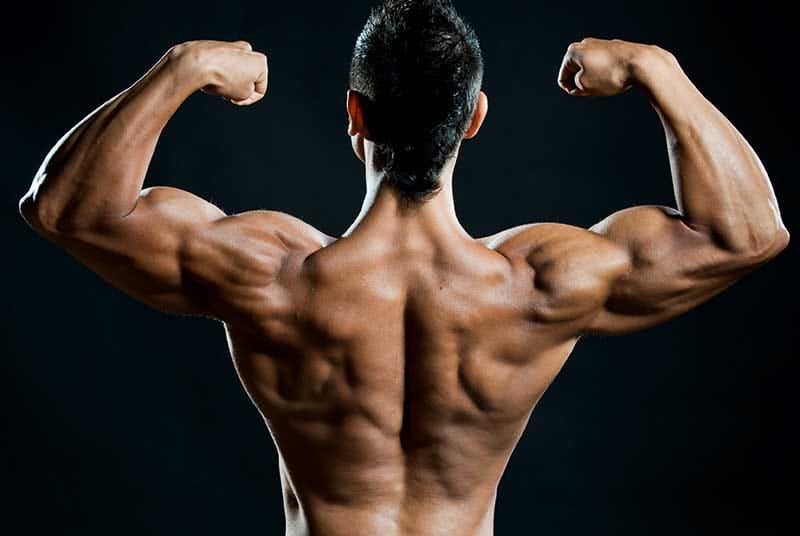 Yohimbine kaufen bei Fatburnerking – Für eine definierte Figur