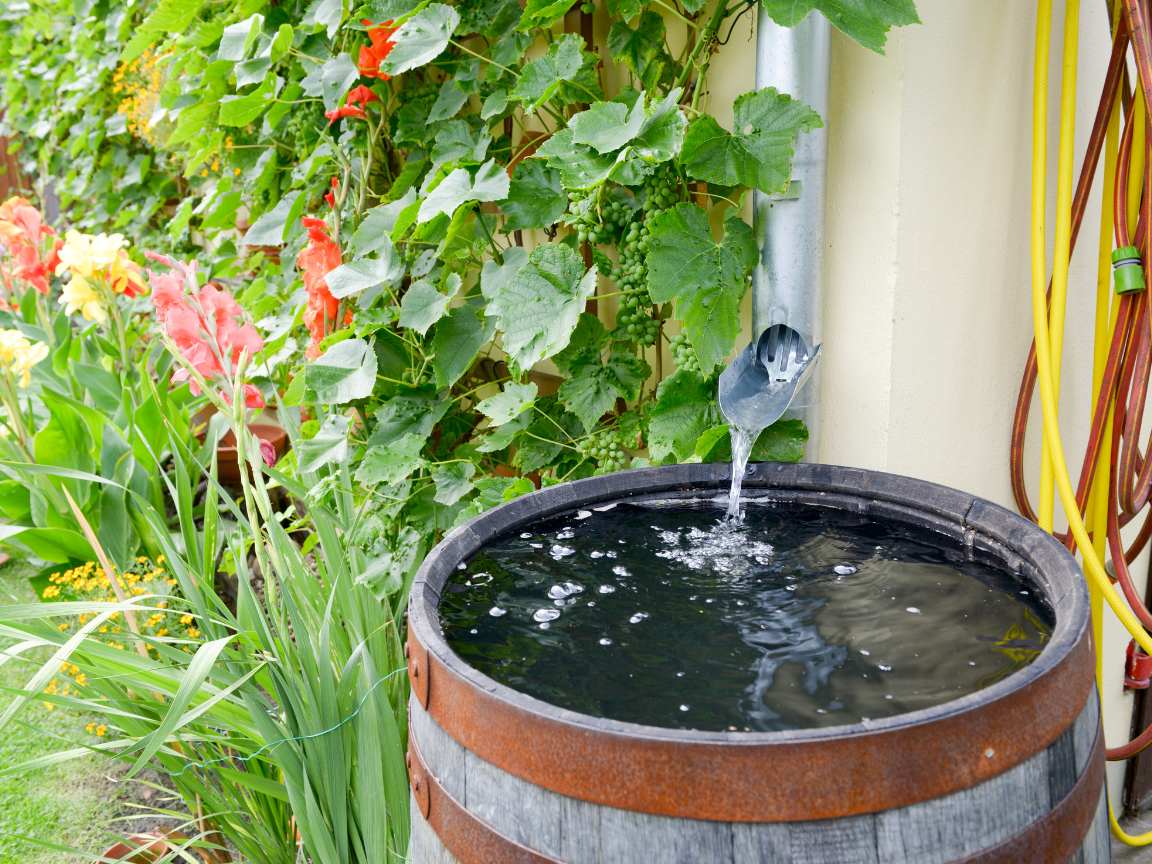 All4Water: Ihr Experte für die Optimierung Ihrer Regenwassernutzungsanlage