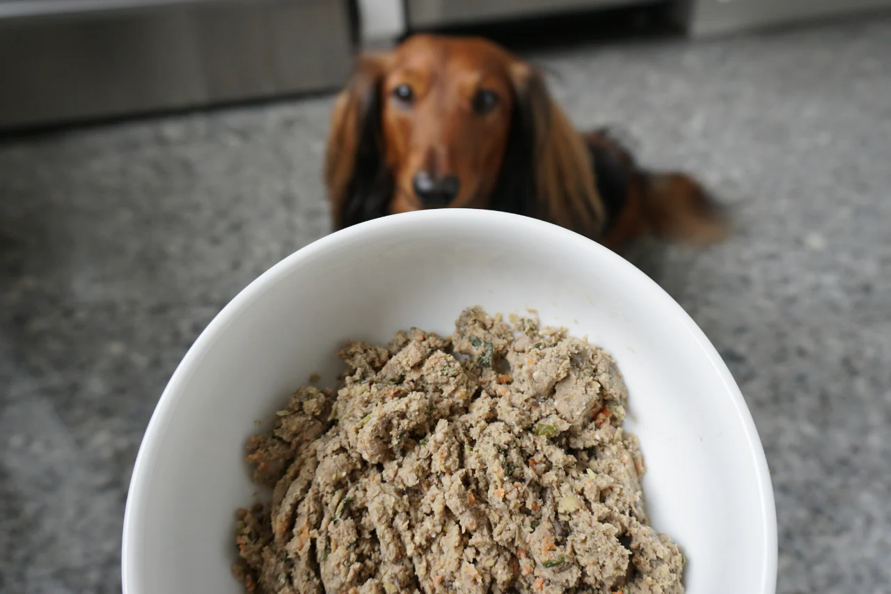 Farmer's dog pricing