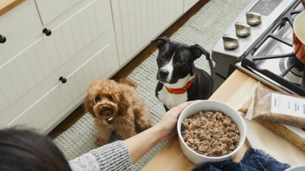 Farmer's dog pricing